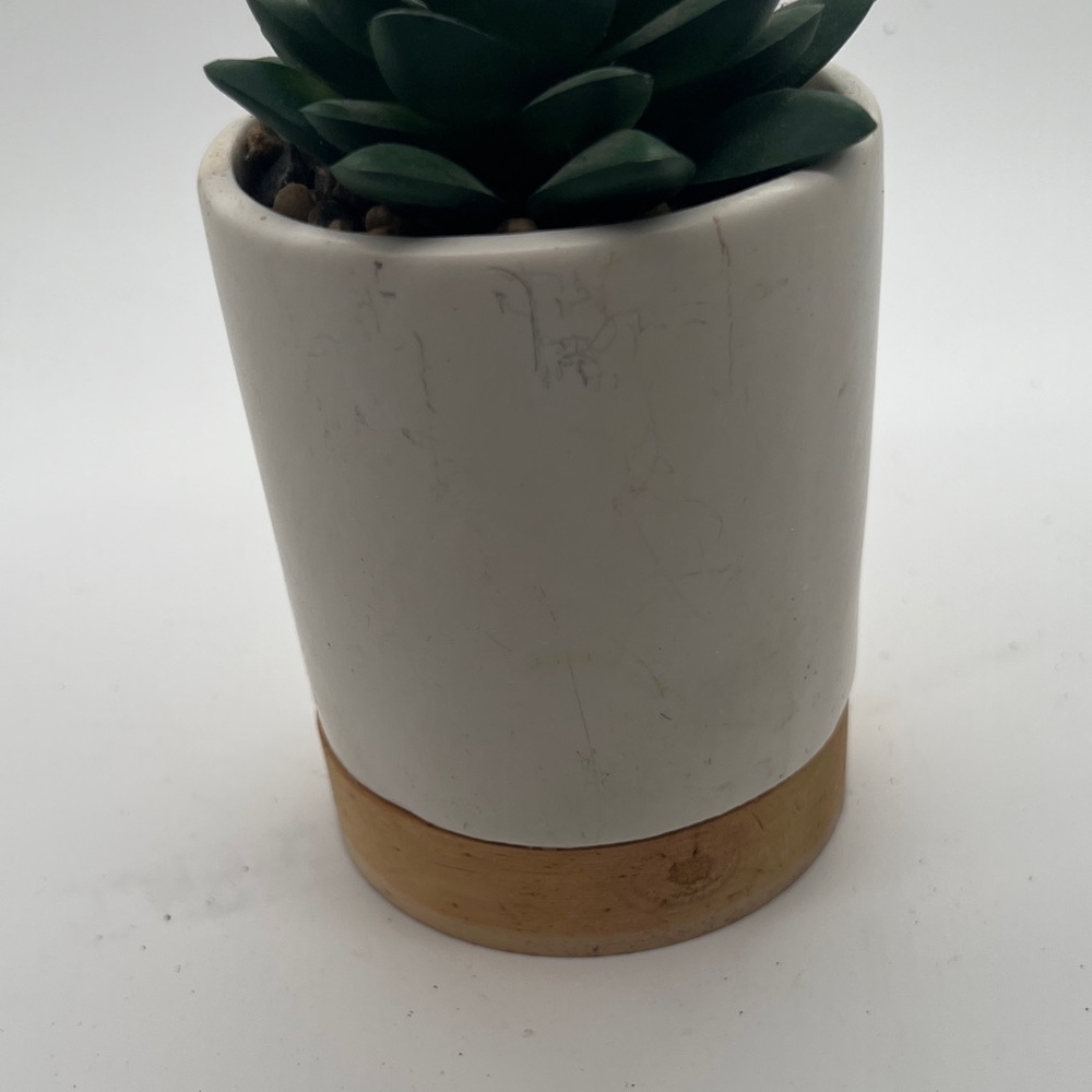 White and Tan Planter with Faux Succulent